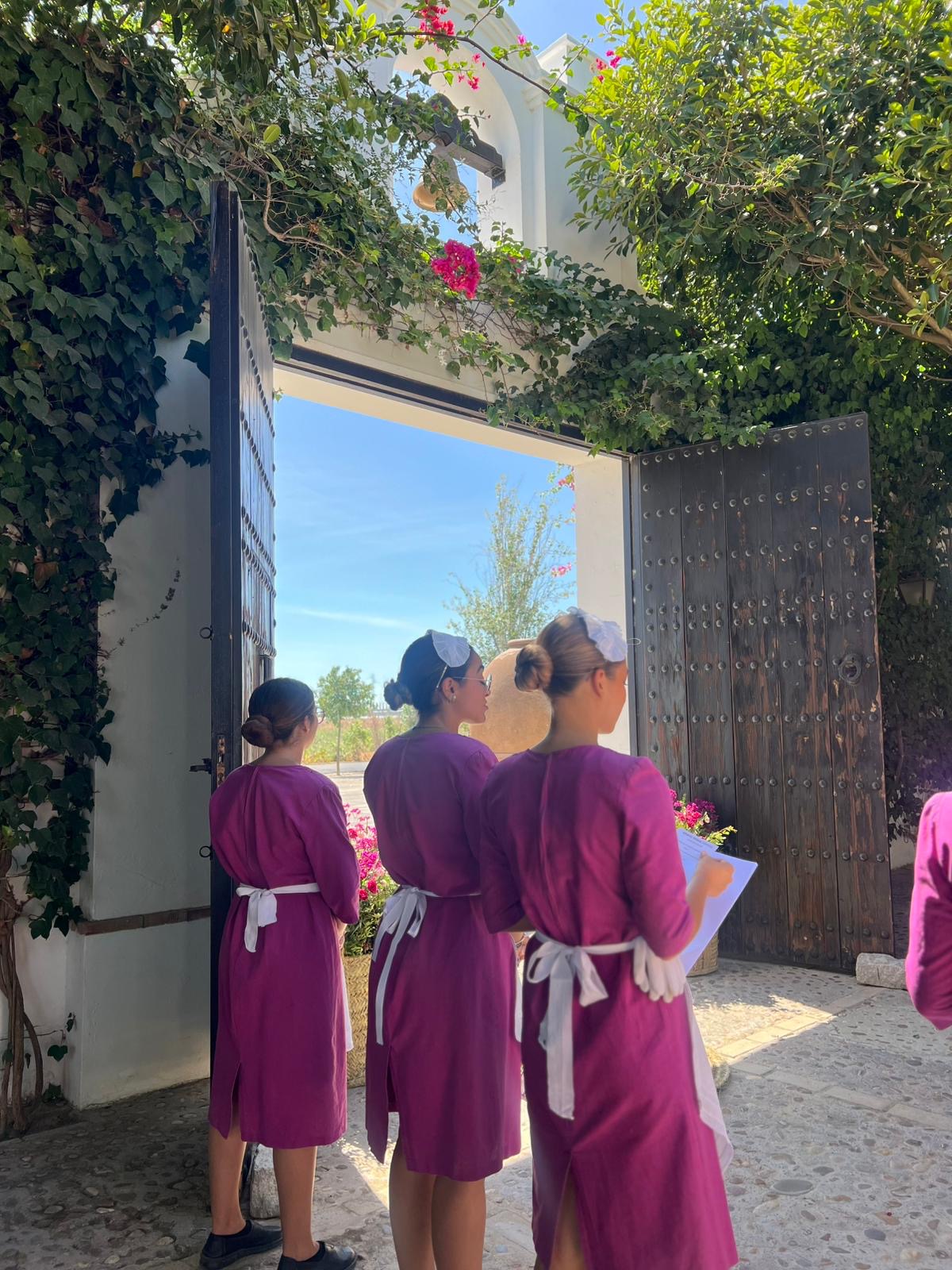 00e618c8-e26d-46cb-96d8-f01ac4fb9fd2