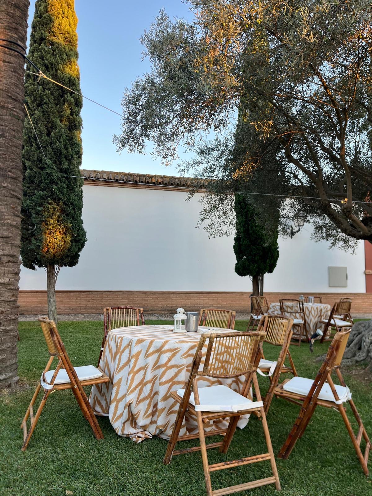 37ce159f-d39a-44fa-bd26-a658fefcf3a4