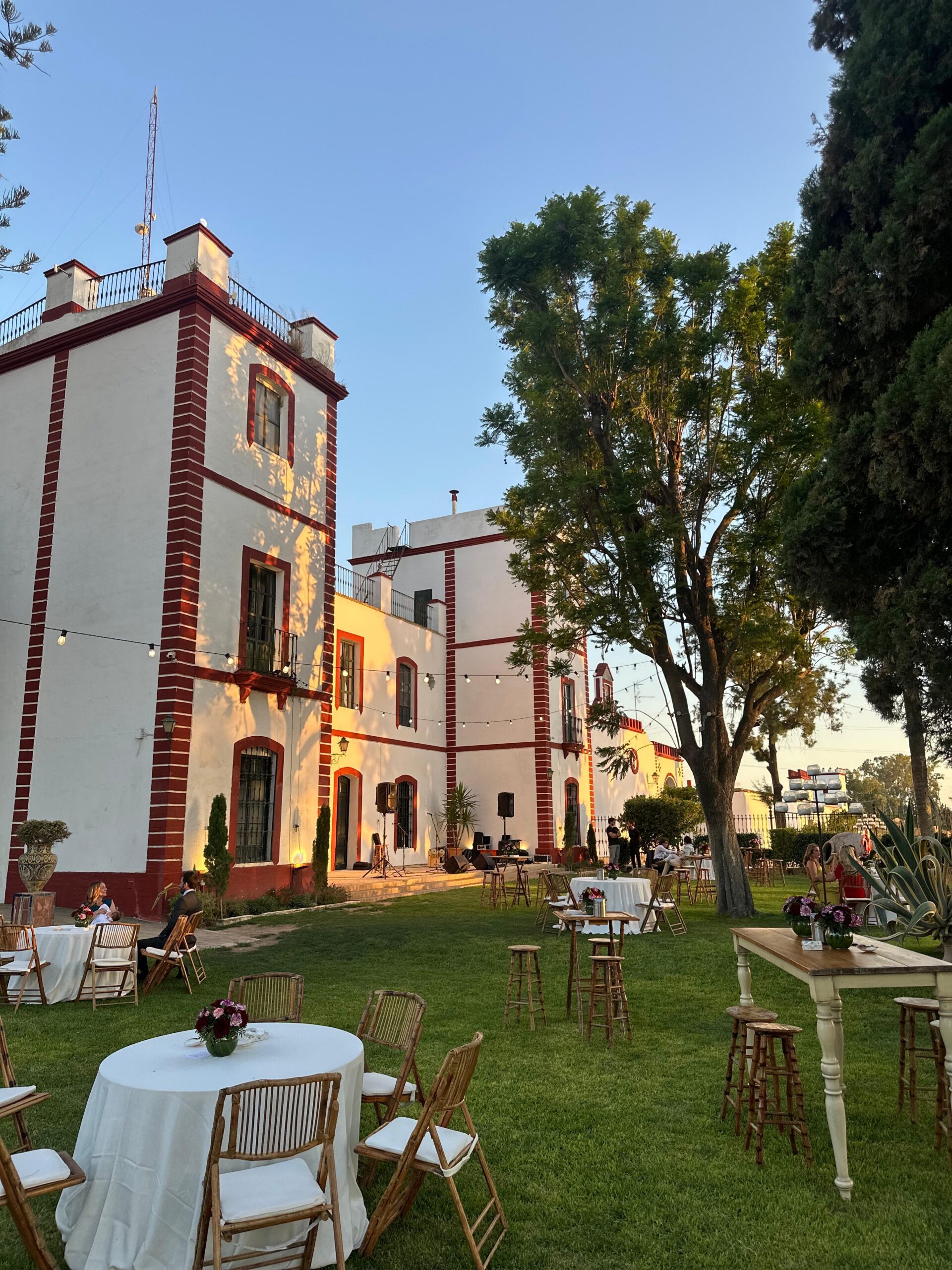 61c0f474-0f08-4a26-a58e-c3569bdc4a1d