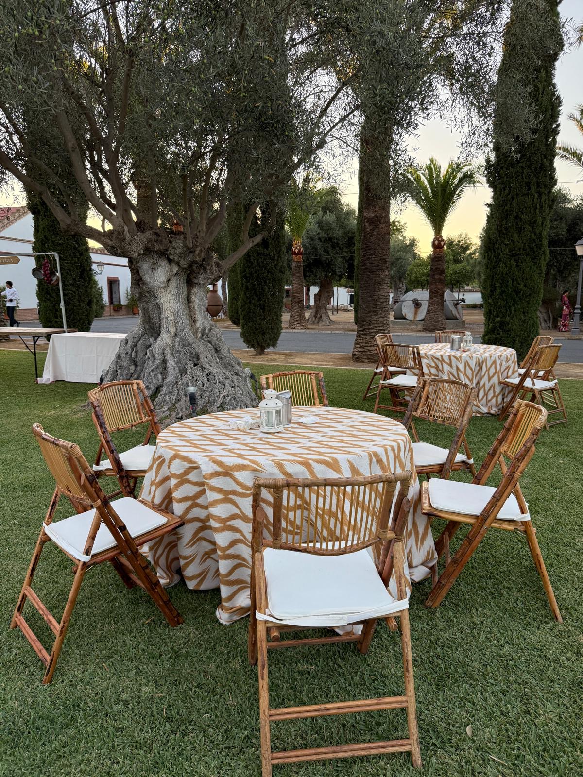 a497b2bc-4714-400a-82bd-e55fa5408ec3