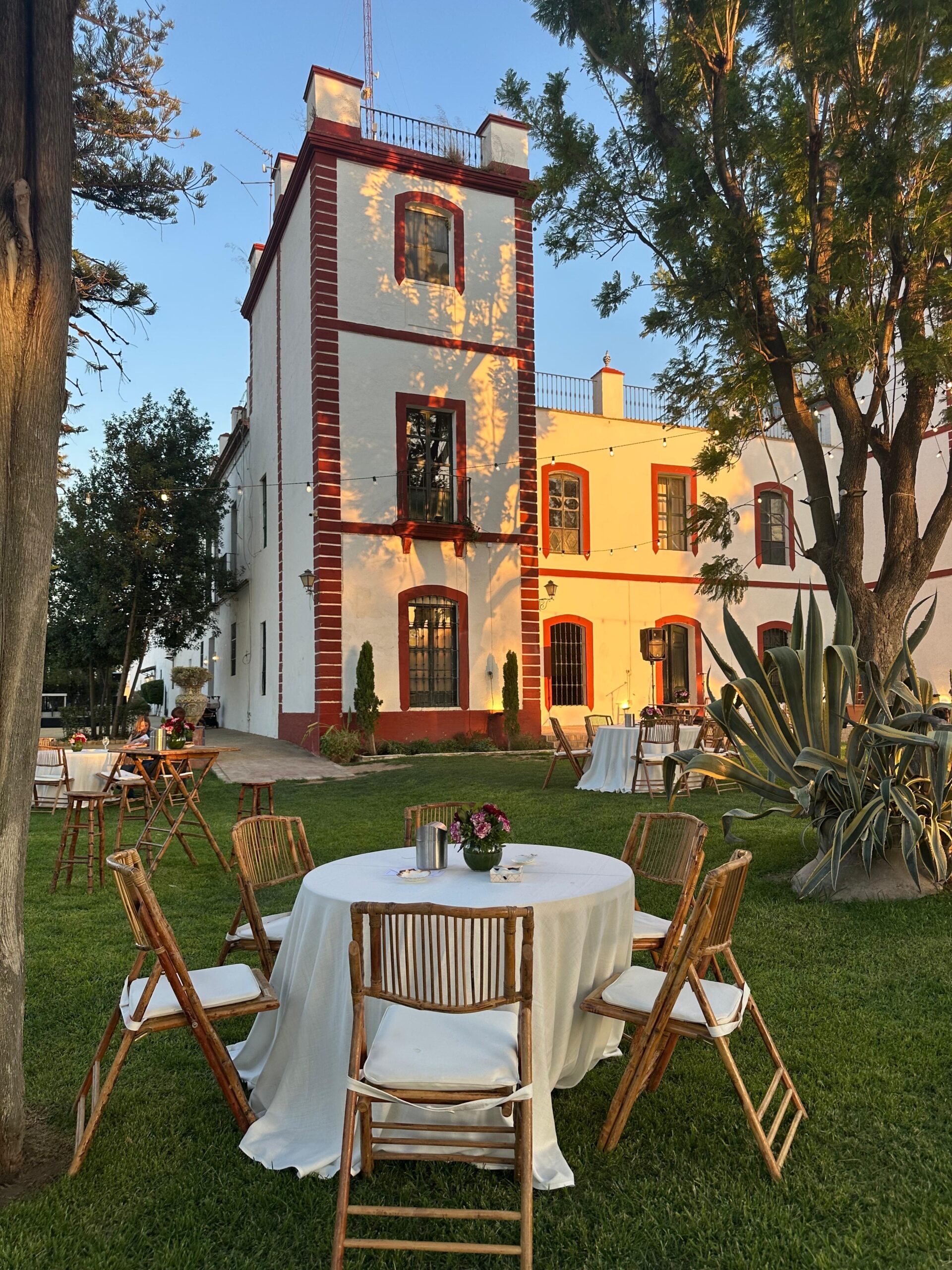 c1c0ee59-03d2-4a89-82f1-72aae35a6c15