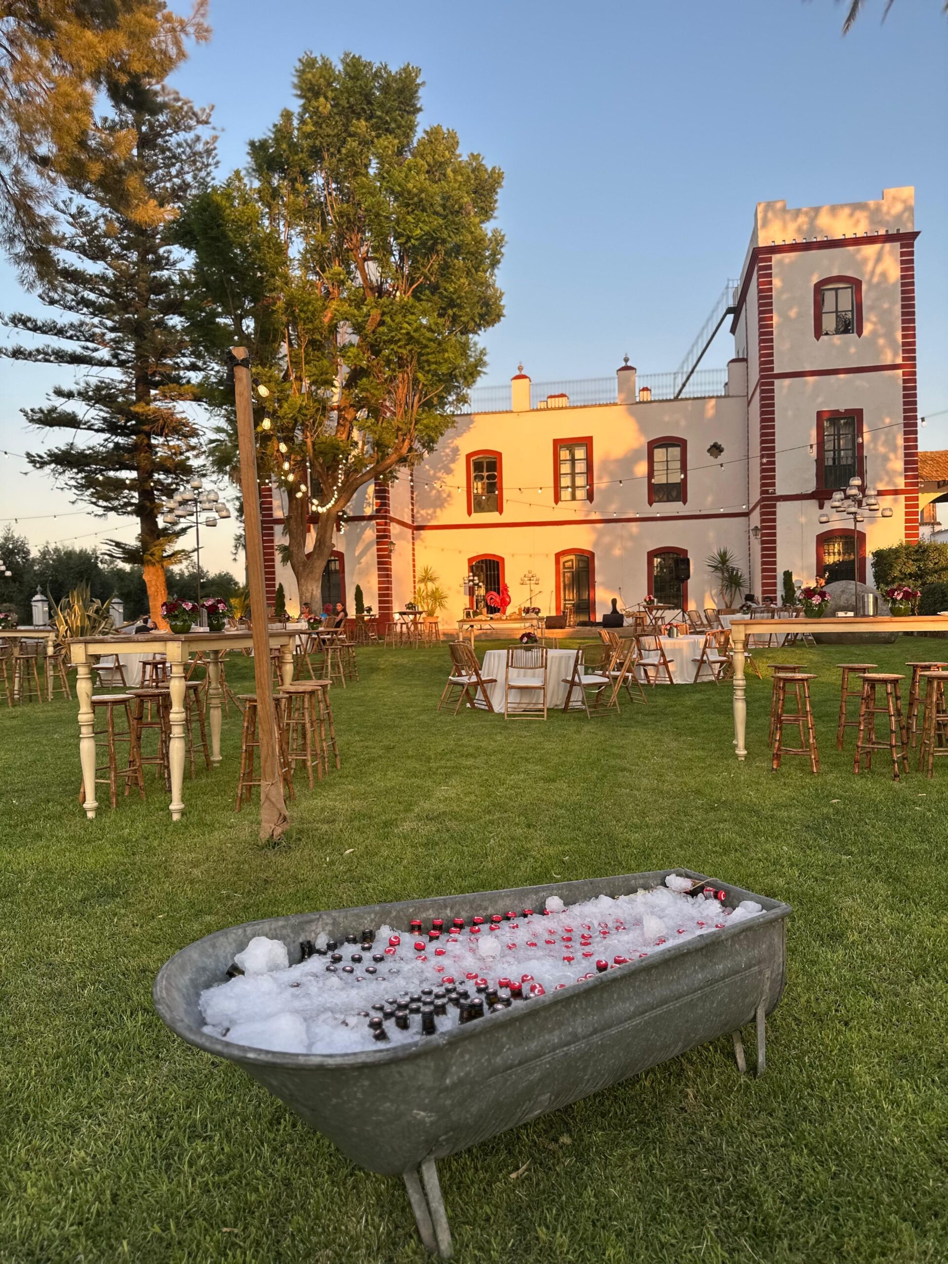 c1ca4314-305e-4832-87ec-a1dc63a5c96a