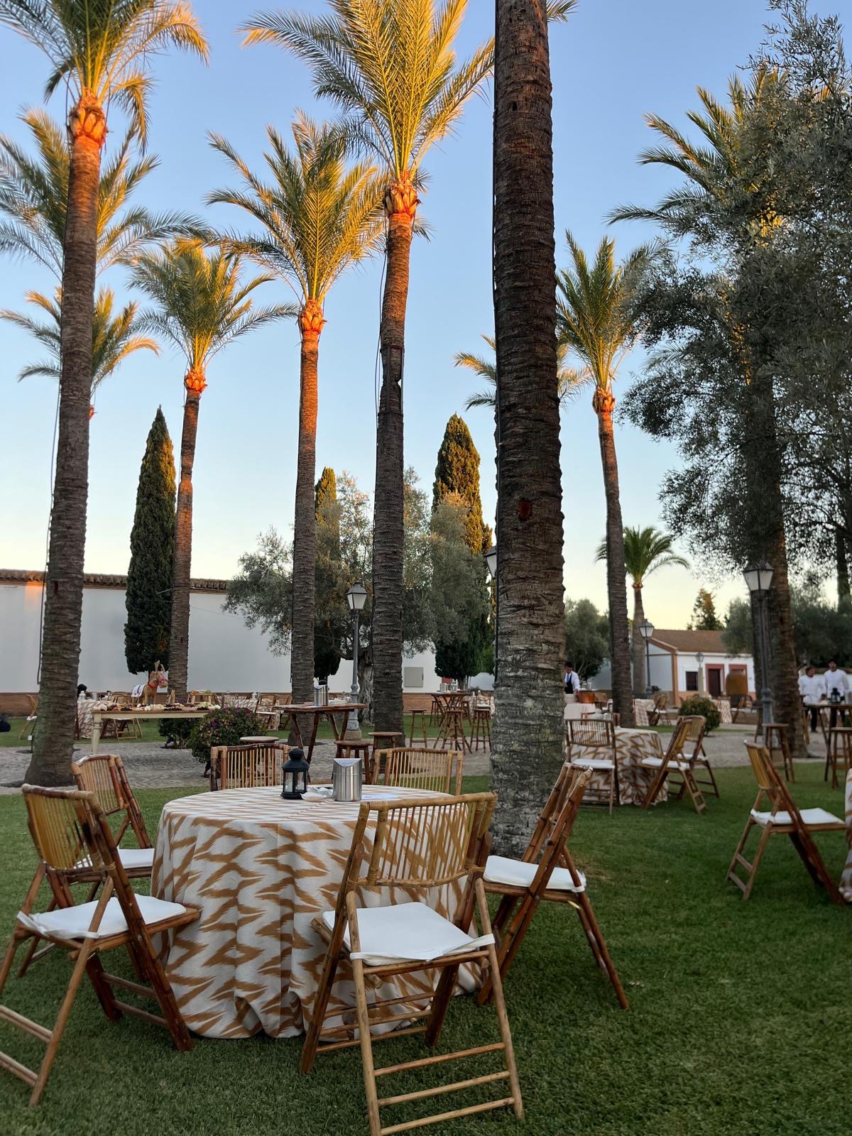 e3c3ea74-20d8-4ab8-8e49-f095464d0834