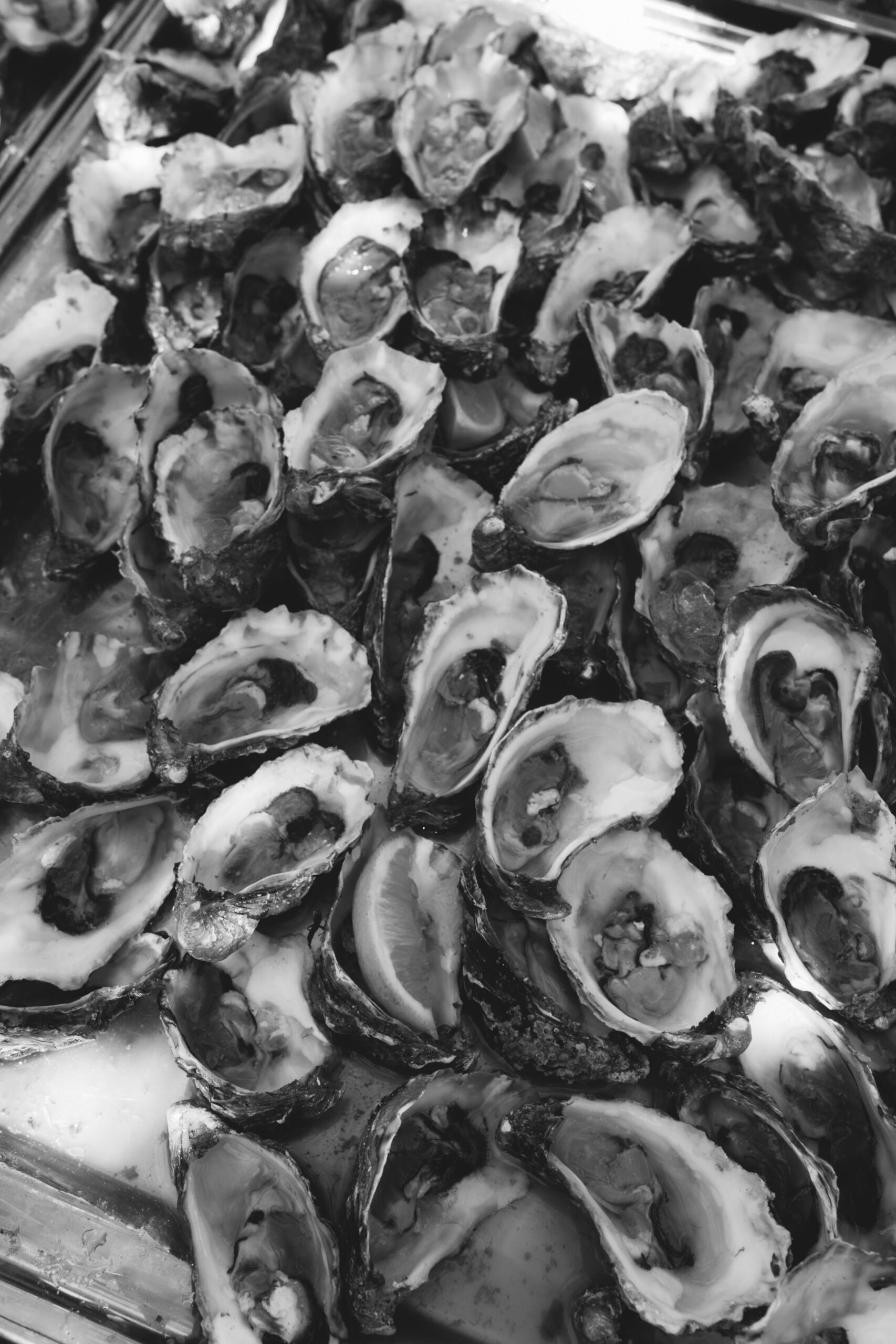 Claudia & Mané BODA