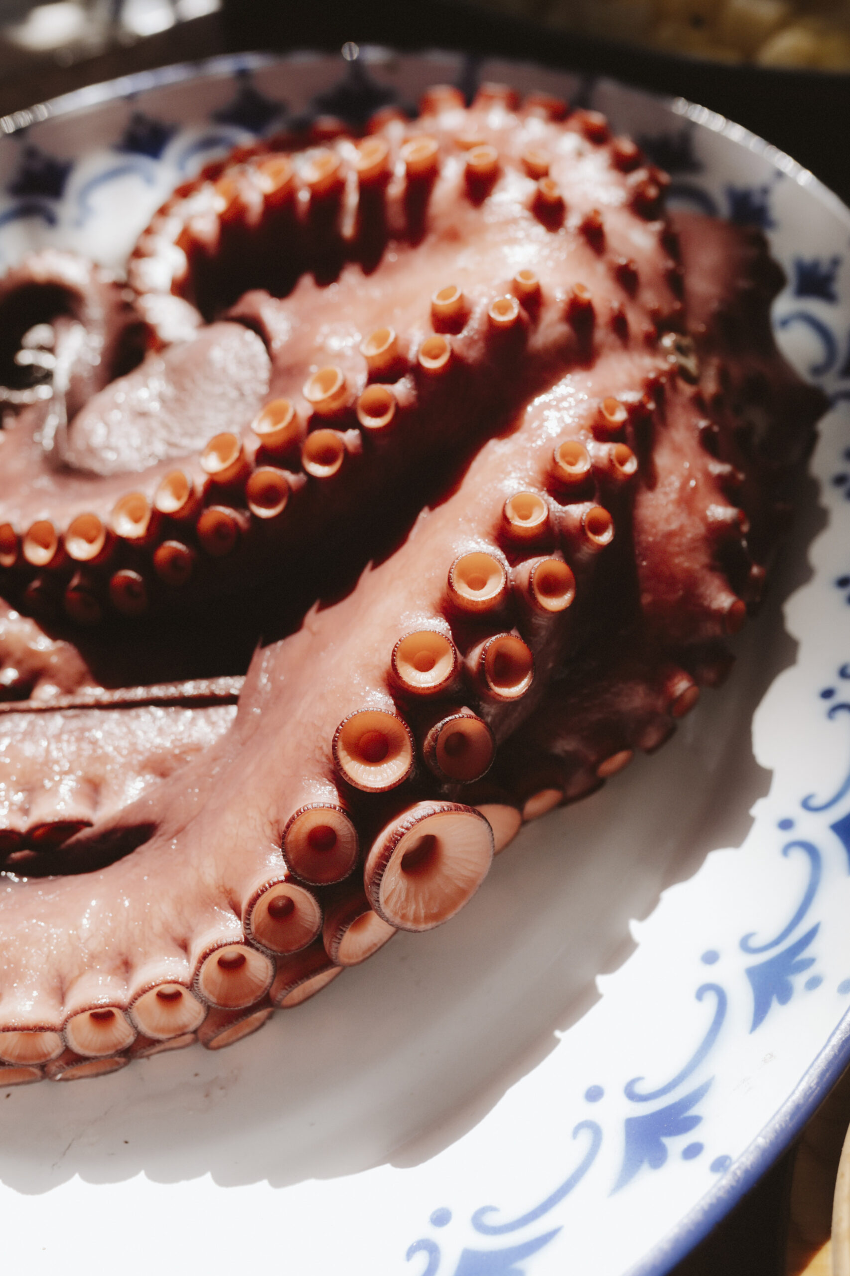 Claudia & Mané BODA