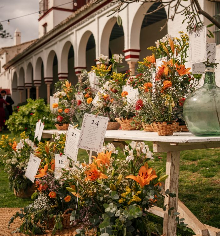 La boda de Pilar e Ignacio